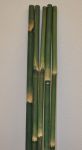 bambusova-tyc-5-6-cm-delka-2-metry-barvena-zelena.jpg